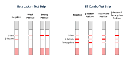 Urine testing for steroids